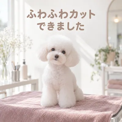 見本の投稿　ふわふわカット　できました